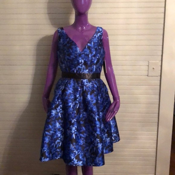 shelby nites dresses